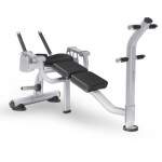 Скамья для скручивания Matrix Magnum MG-PL50 Iced Silver