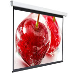 Экран для проектора Digis Electra-F DSEF-4305