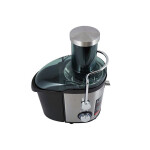 Соковыжималка Centek CT-1215