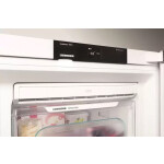 Морозильная камера Liebherr GN 3235