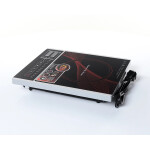 Настольная плита Zigmund & Shtain ZIP-555