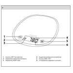 Весы кухонные Sencor SKS 36YL