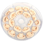 Сушилка для овощей Oursson DH2302D/GA (Зеленое яблоко)