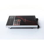 Настольная плита Zigmund & Shtain ZIP-555