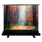 Экран для проектора Cactus FloorExpert CS-PSFLE-180X135