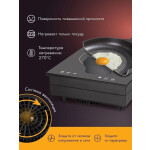 Настольная плита Endever Skyline IP-51