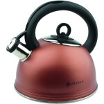 Чайник Zeidan Z-4038 Ryan