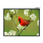 Экран для проектора Lumien Master Picture LMP-100107