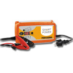 Зарядное устройство Berkut SP-25N