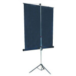 Экран для проектора Lumien Master View LMV-100109