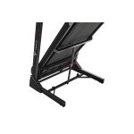 Беговая дорожка Titanium Masters Physiotech TCA