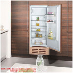 Встраиваемый холодильник Zigmund & Shtain BR 12.1221 SX