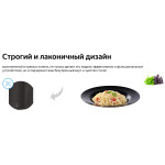 Каминная вытяжка Weissgauff Irida BL