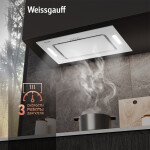 Встраиваемая вытяжка Weissgauff Antlia 850 WH