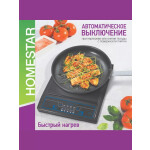 Настольная плита Homestar HS-1101