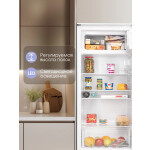 Встраиваемый холодильник Zigmund & Shtain BR 12.1221 SX