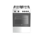 Комбинированная плита Beko FFSS 62010 GW