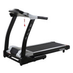 Беговая дорожка DFC T505 Terra