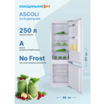 Встраиваемый холодильник Ascoli ADRF250WEMBI