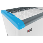 Морозильная камера Frostor Gellar FG 600 C синий
