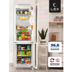 Встраиваемый холодильник Lex RBI 201 NF