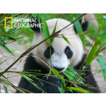 Пазл Prime 3D Большая панда 10071