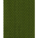 Ремень для гитары Planet Waves PWS107