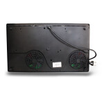 Настольная плита Ginzzu HCI-205