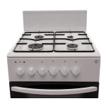 Комбинированная плита ЗВИ 117 W