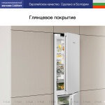 Холодильник Liebherr CNf 5203