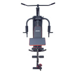 Мультистанция Atemi AGS 3100