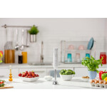 Блендер погружной Zelmer ZHB4552S