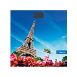 Весы напольные Homestar HS-6001K