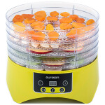 Сушилка для овощей Oursson DH2302D/GA (Зеленое яблоко)