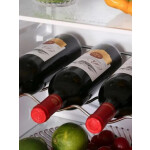 Встраиваемый холодильник Ascoli ADRF229BI