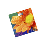 Весы напольные Centek CT-2420 гербера