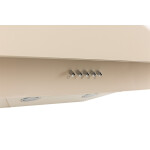 Каминная вытяжка Oasis NS-60I (FR)