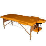 Массажный стол DFC Nirvana Relax TS20111 горчичный