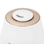 Увлажнитель воздуха Royal Clima Sanremo Plus RUH-SP400/3.0M-G