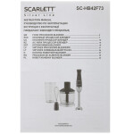 Блендер погружной Scarlett SC-HB42F73