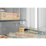 Морозильная камера Scandilux F 064 W