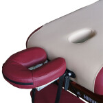 Массажный стол DFC Nirvana Superior TS300