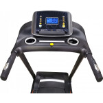 Беговая дорожка Royal Fitness RF-6