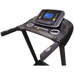 Беговая дорожка Royal Fitness RF-6