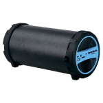 Портативная акустика Hyundai H-PAC220 черный/голубой