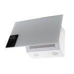 Каминная вытяжка Leran RH 6525 WG