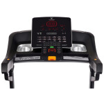 Беговая дорожка Titanium Masters Physiotech TLC