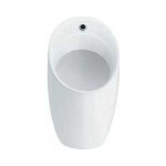 Писсуар Jacob Delafon Patio с батарейками с внутренним подводом воды комплект аксессуаров (E1547-00)