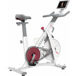 Велотренажер DFC Yesoul BS3-W-10.1