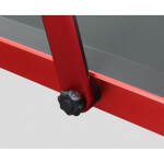 Беговая дорожка Svensson Body Labs Spacetech (Crimson Glory)